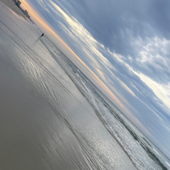 Meet your Posher, Savannah - Picture 1 of 1